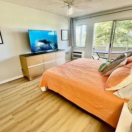 Oceanview Condo In Kapa'A Fully Remodeled 1Bd And 1Ba